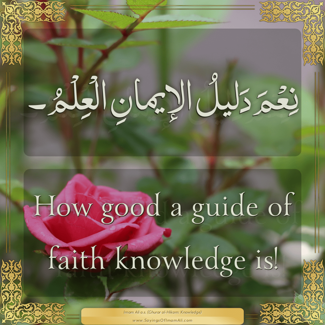 How good a guide of faith knowledge is!